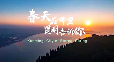 春天在哪里？昆明告訴你