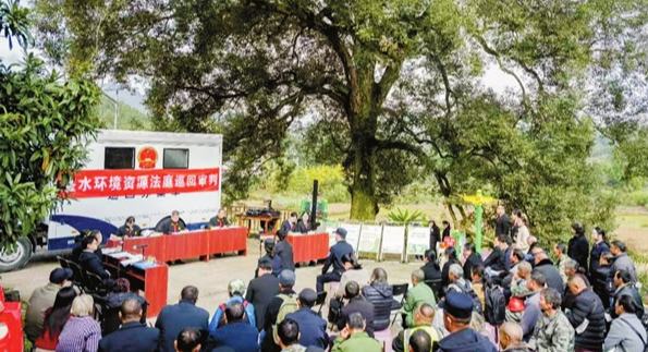 古樹保護區(qū)巡回審理失火案