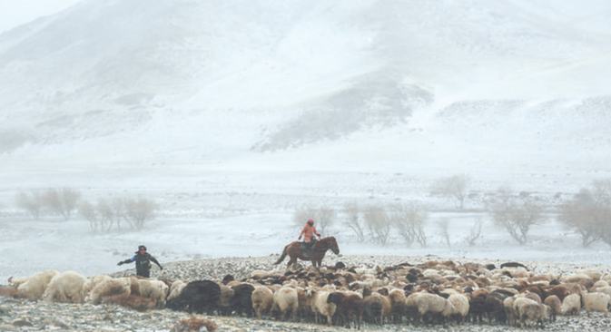 風雪轉(zhuǎn)場路 護牧情更濃