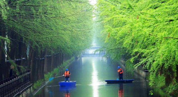 浙江臺州：巡河保潔守護水生態