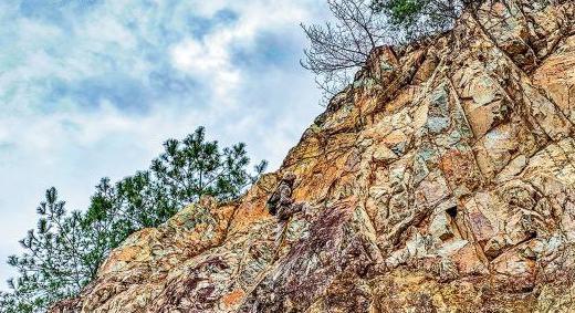 陸軍某旅偵察破襲行動考核影像