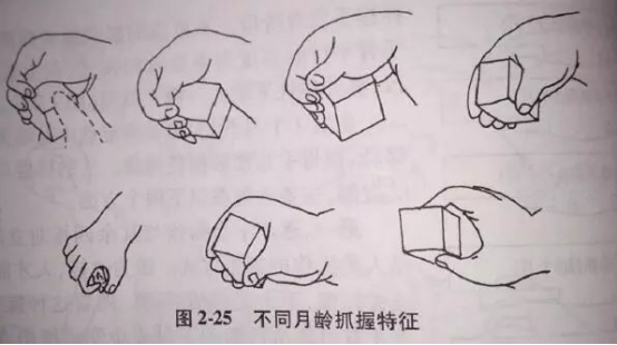 兒童發育遲緩康復訓練——小兒腦癱的作業療法訓練